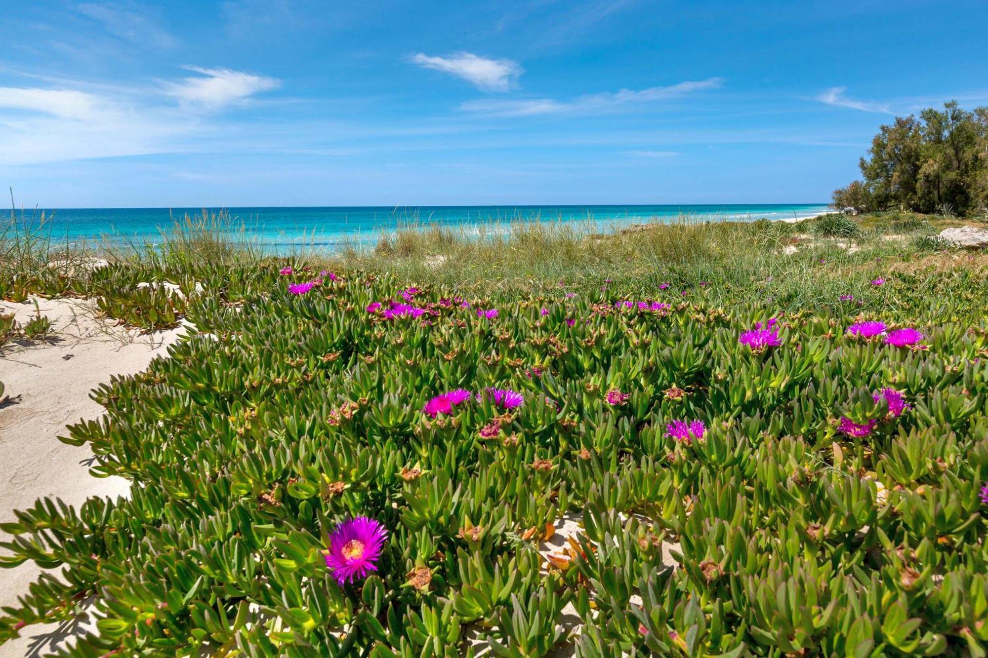 Blusea Beach Apartments San Pietro in Bevagna Exterior foto
